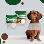 Xanthan Gum Dogs