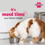 Cat Food and Fashion
