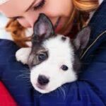 Cute Pets