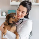 Dog Seizures