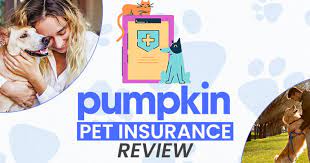 Pumpkin Pet Insurance