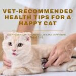 Cat Health Tips