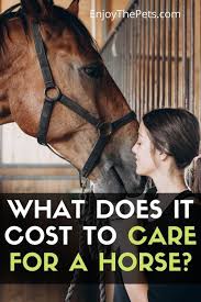 Cost to Care For a Horse