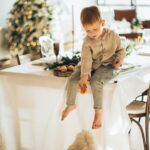 Cesar Dog Food Feeding Guide