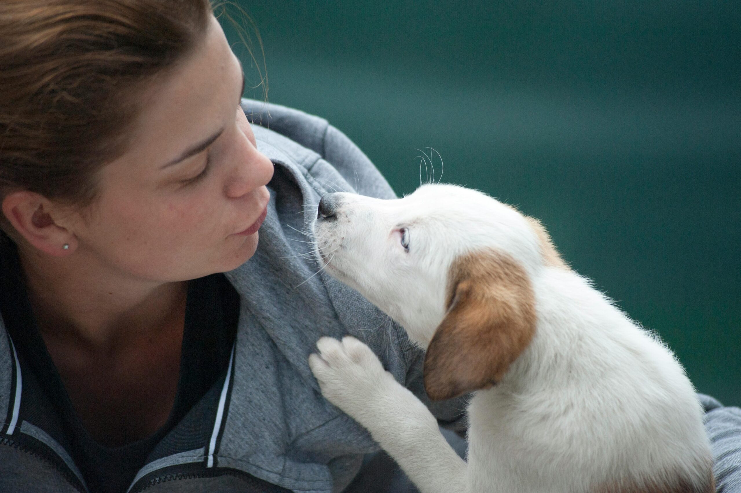 Pet Care Goals