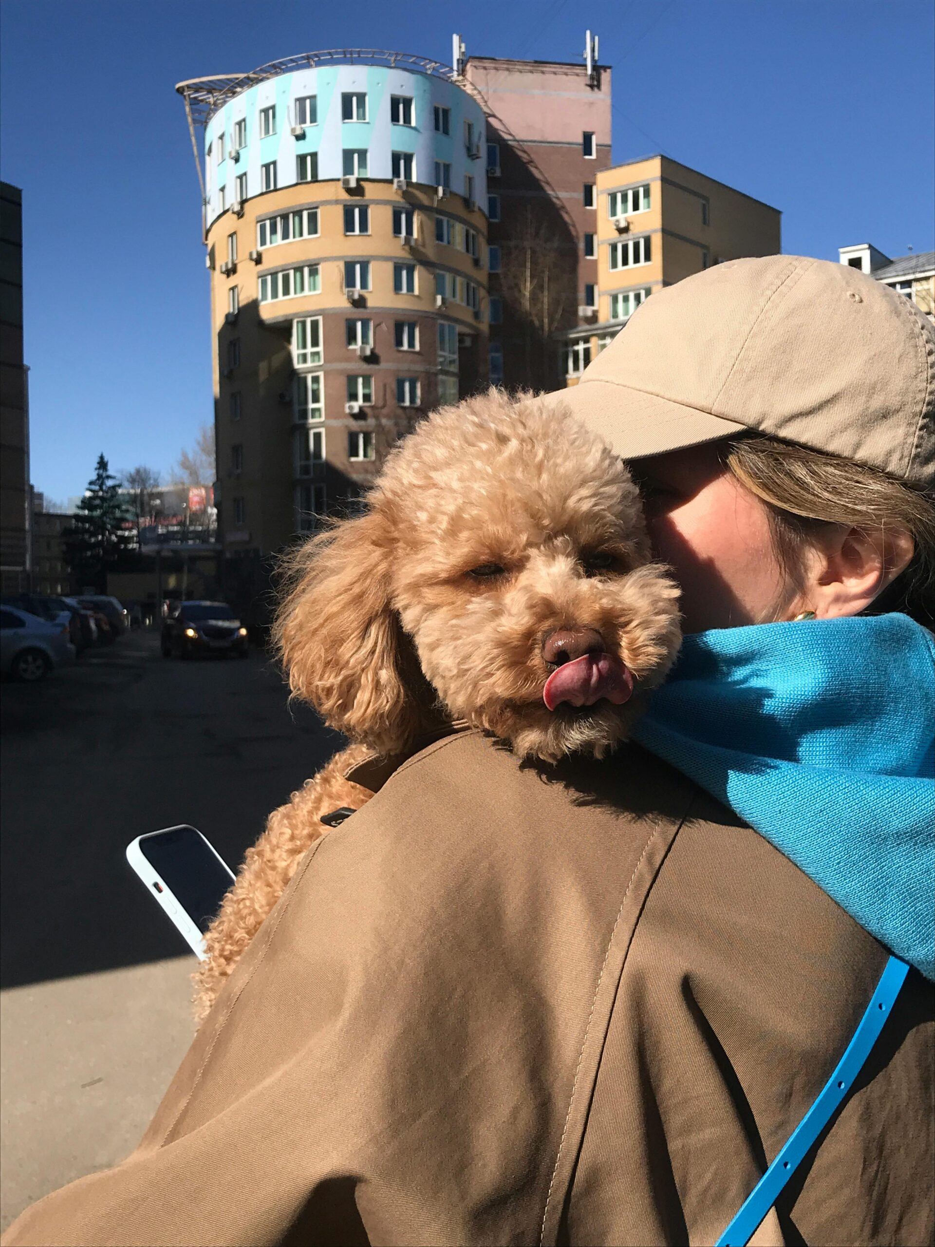 Dog Continuously Licks Their Nose