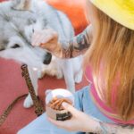 Meet Biscuit the Dog, the lovable and loyal canine companion that will steal your heart with his wagging tail and adorable face.