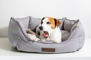 As pet owners, we all want our furry friends to feel safe, secure, and comfortable .when we talk about anti anxiety beds for pets.