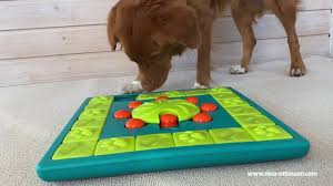 Puzzles for Dogs