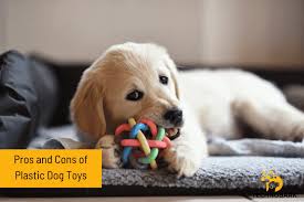 Are Plastic Toys Good for Dogs