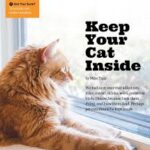 Cat Inside All the Time