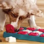 Puzzles for Dogs