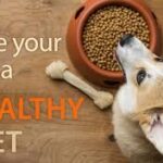 WHICH FOODS CONSIDER HEALTHY AND BALANCED DIET FOR DOGS